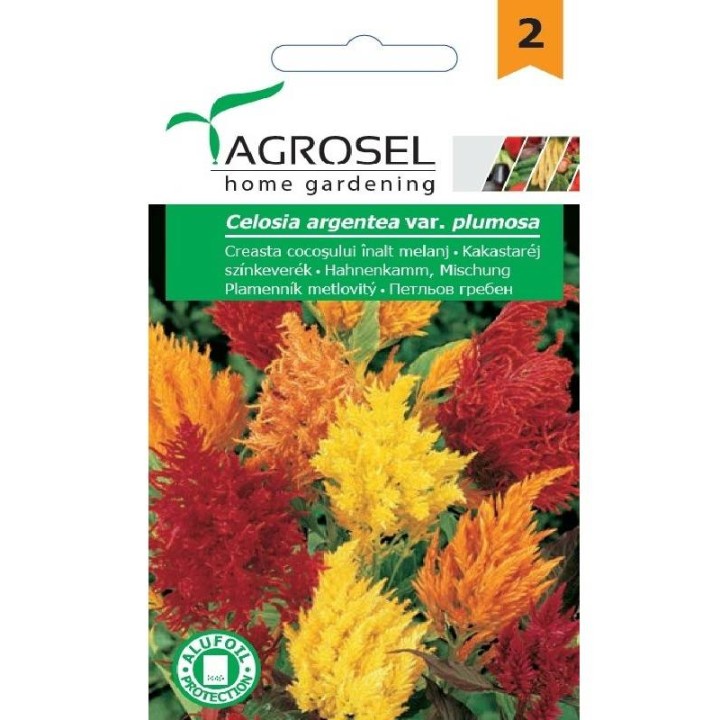 Seminte flori creasta cocosului plumosa, 0.5 g