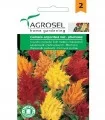 Seminte flori creasta cocosului plumosa, 0.5 g