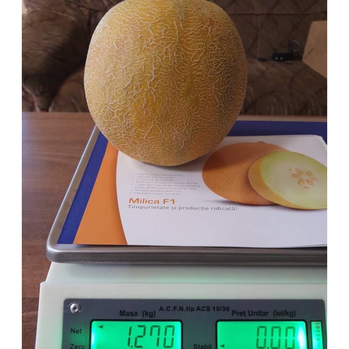 Seminte de pepene galben Milica F1 (ZKI 1112 F1) 100 SEM