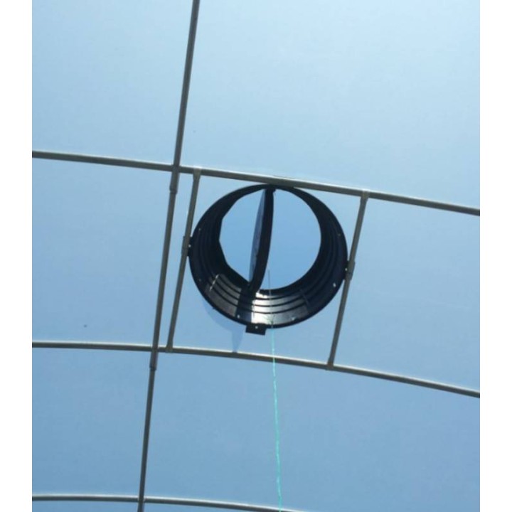 Trapa solar