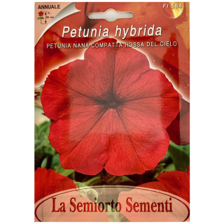 Seminte de Petunia Sky's Red