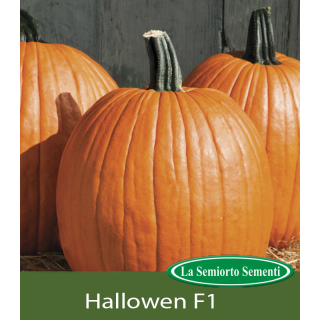 Seminte de dovleac Halloween F1, 4 grame