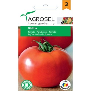 Seminte tomate Ghittia