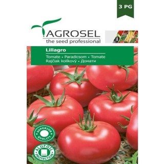 Seminte tomate Lillagro