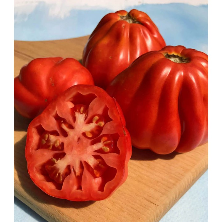 Seminte de Tomate Canestrino, 0,5 grame