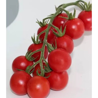 Seminte de Tomate Chicco Rosso F1, 50 seminte