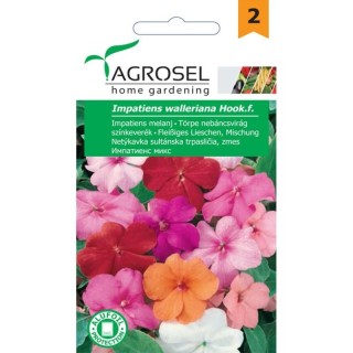 Seminte de flori Impatiens