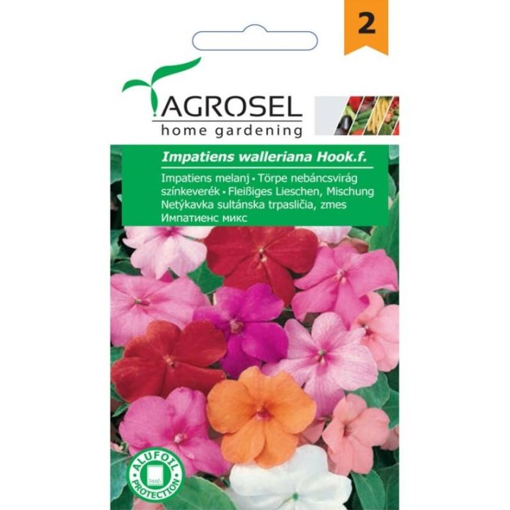 Seminte de flori Impatiens
