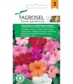 Seminte de flori Impatiens
