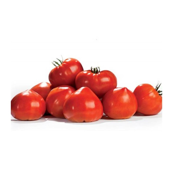Gourmandia F1, hibrid inima de bou 