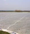 Folie microporoasa Anti-inghet (Agril), Ceres, 30 g/mp, 1.6 m x 100 m