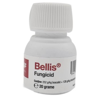 Bellis, diverse ambalaje