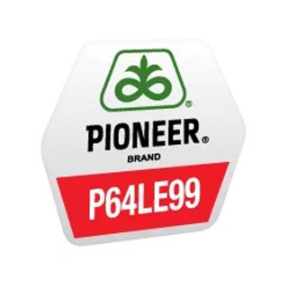 Seminte de floarea soarelui P64LE99