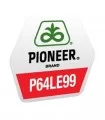 Seminte de floarea soarelui P64LE99
