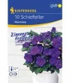 Achimenes Mexicana, 10 bulbi