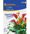 Calla Vermer (1 bulb)