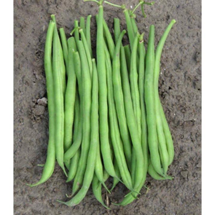 Fideluta verde Elba, 250 g