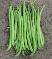 Fideluta verde Elba, 250 g