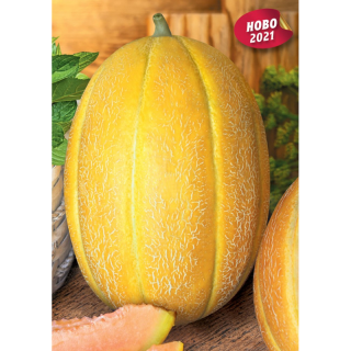 Pepene galben Atila F1, 25 grame