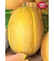 Pepene galben Atila F1, 25 grame