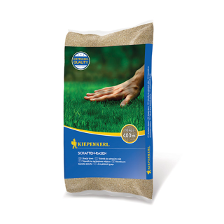 Seminte de Gazon de umbra, Kiepenkerl, 10 kg