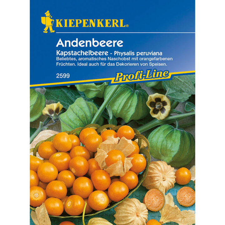 Physalis peruviana (30 seminte)