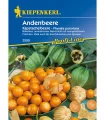 Physalis peruviana (30 seminte)