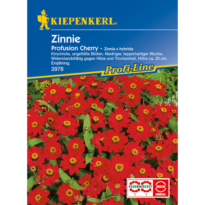 Carciumarese Profusion Cherry, 20 seminte