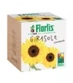 Recipient plantare floarea soarelui, ecologic