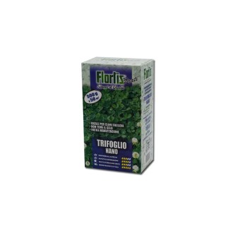 Seminte trifoi alb pitic, 500 g