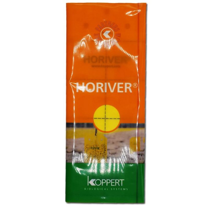 Horiver galben, 10 buc