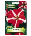 Petunia stelata rosie (1 g)