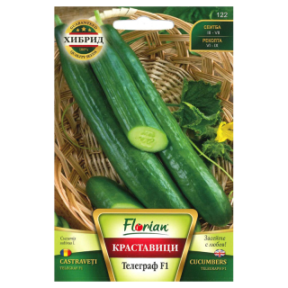 Castraveti lungi Telegraph F1, 1 gram