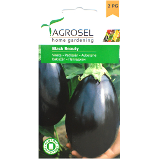 Seminte de vinete Black Beauty, 2 grame