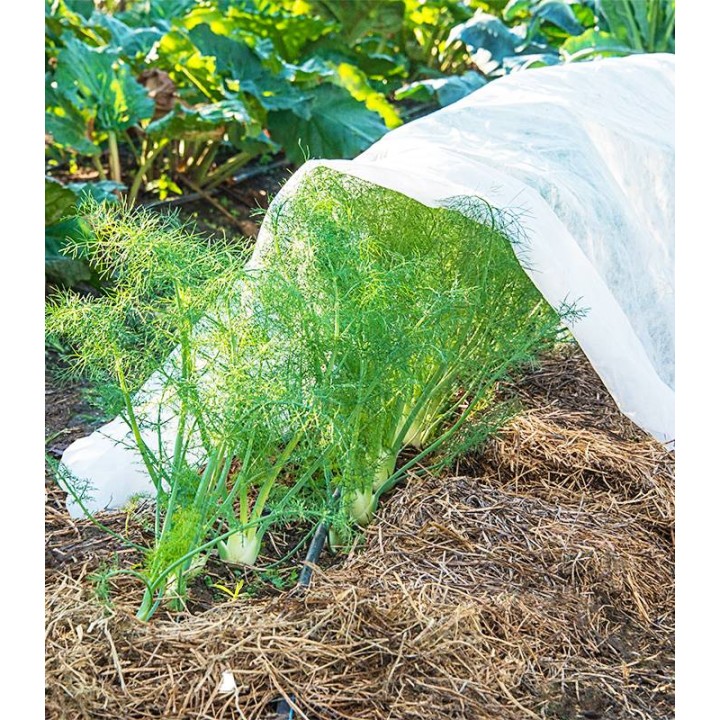 Folie microporoasa alba anti-inghet/mulcire 1.6x10m, 50 GR