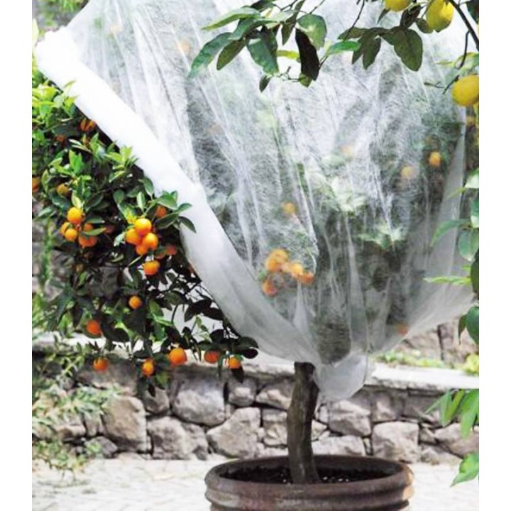 Folie microporoasa alba anti-inghet/mulcire 1.6x5m, 50 GR