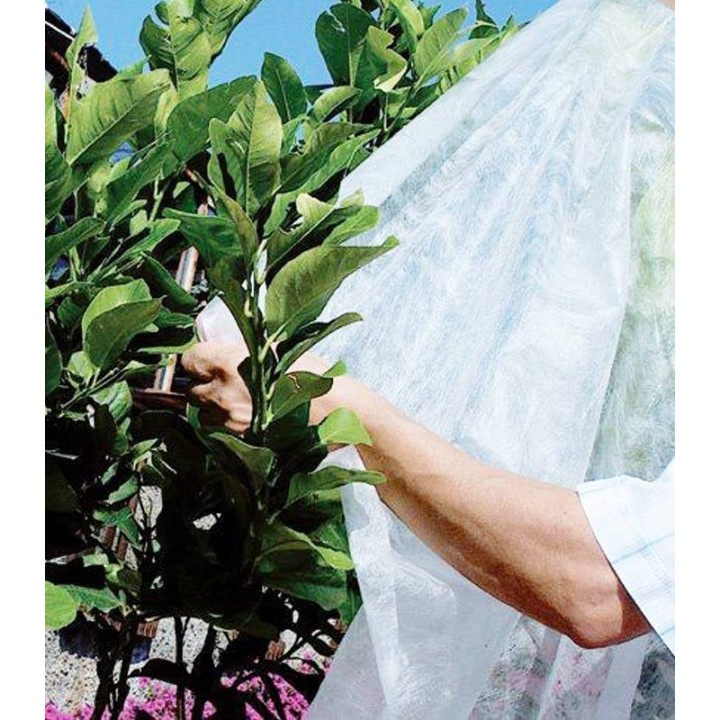 Folie microporoasa Plant Protex 3.2x5m, 17 GR/MP