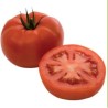 Seminte de tomate Minaret F1
