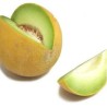 Seminte de pepene galben Gina F1