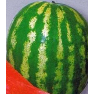 Seminte de pepene verde Crimson Sweet Colorado 100 grame