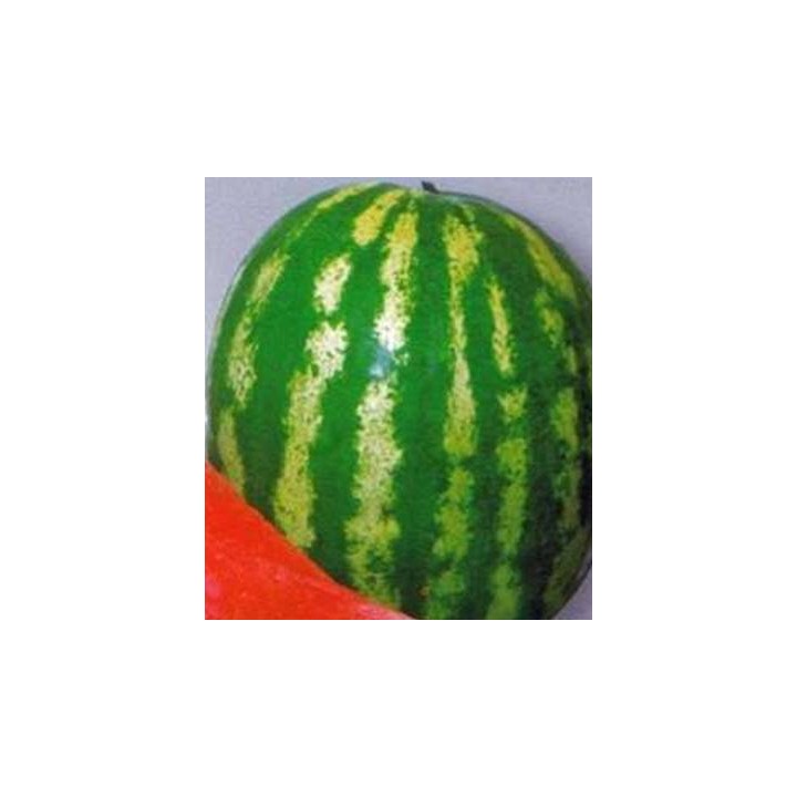 Seminte de pepene verde Crimson Sweet Colorado 100 grame