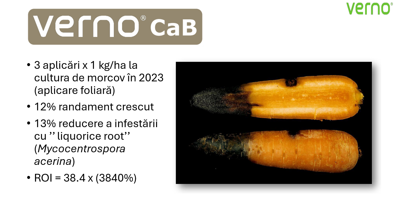 Verno CaB la morcov 2023