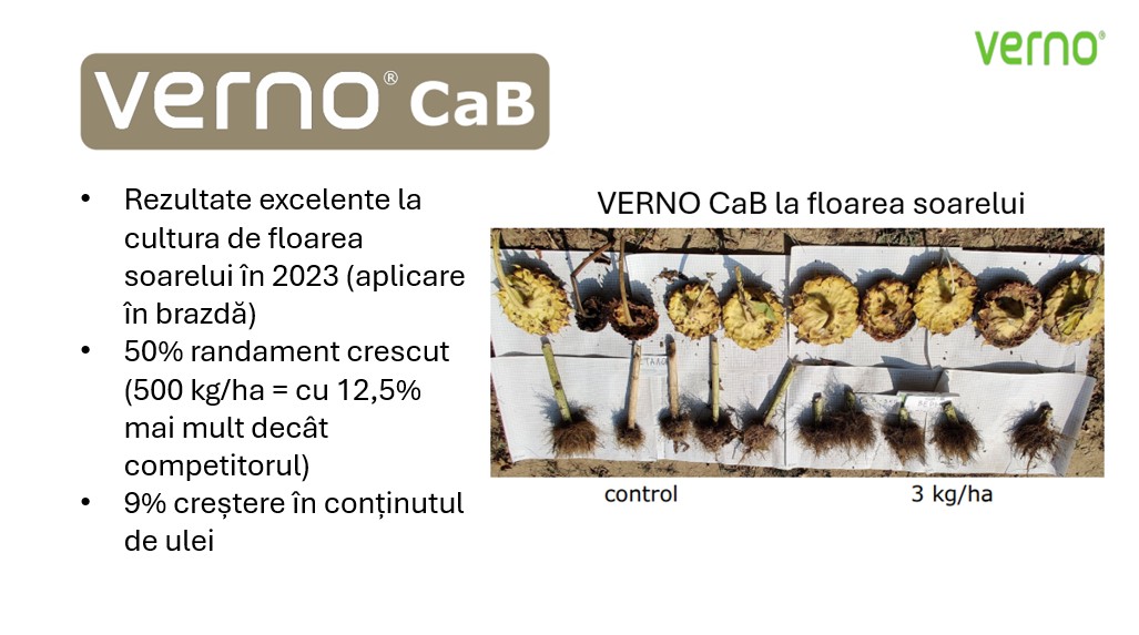 Verno CaB Floarea Soarelui