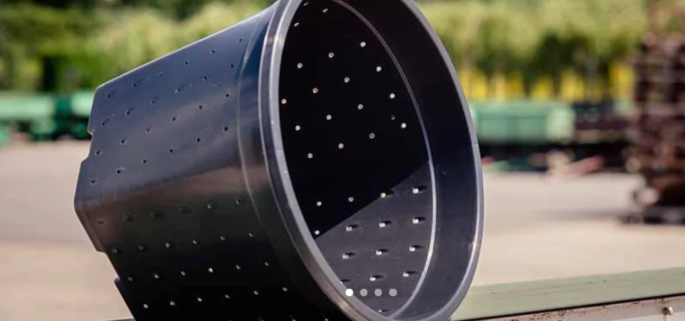 ghivece don kiwat