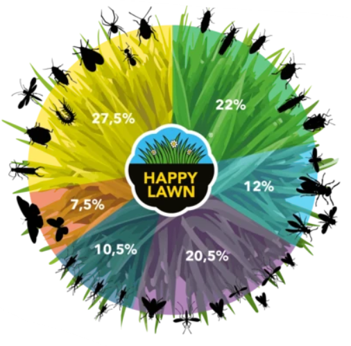 Happy Lawn Flowers