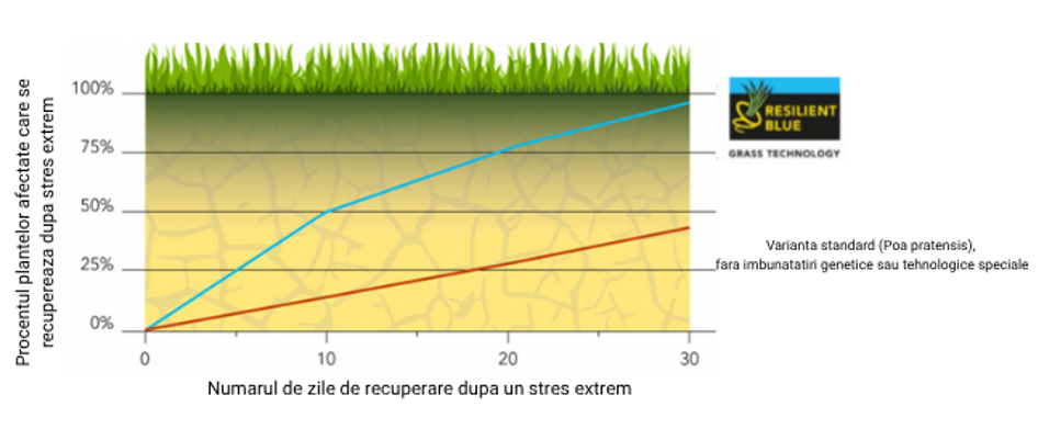 Recuperare in timpul irigarii dupa o perioada de stres extrem Resilient Blue Sport