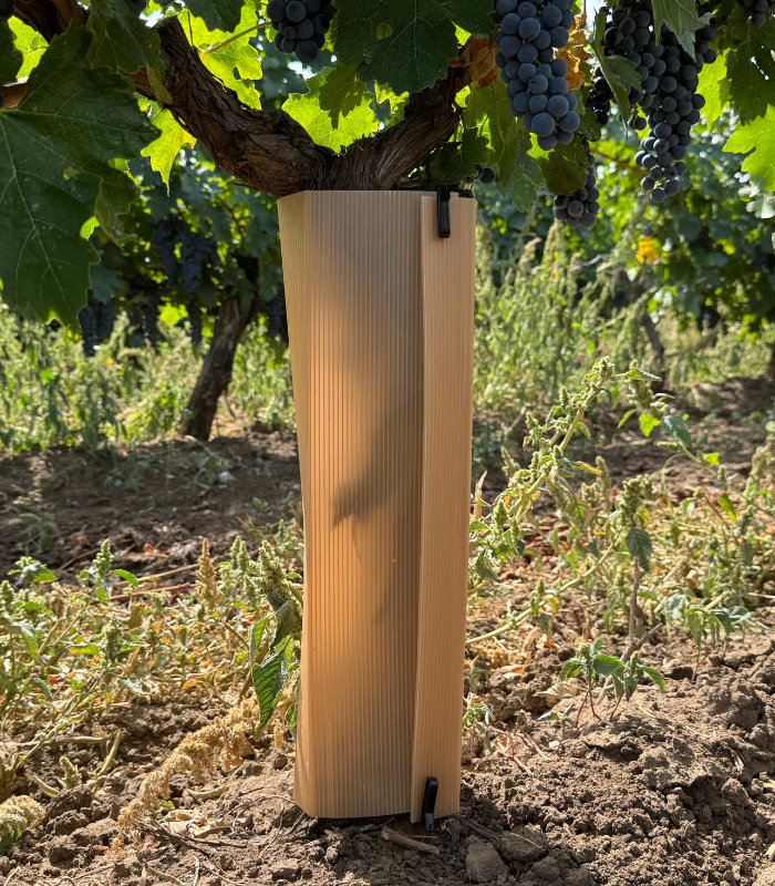 Tub de protectie pentru vie, puieti si plante tinere