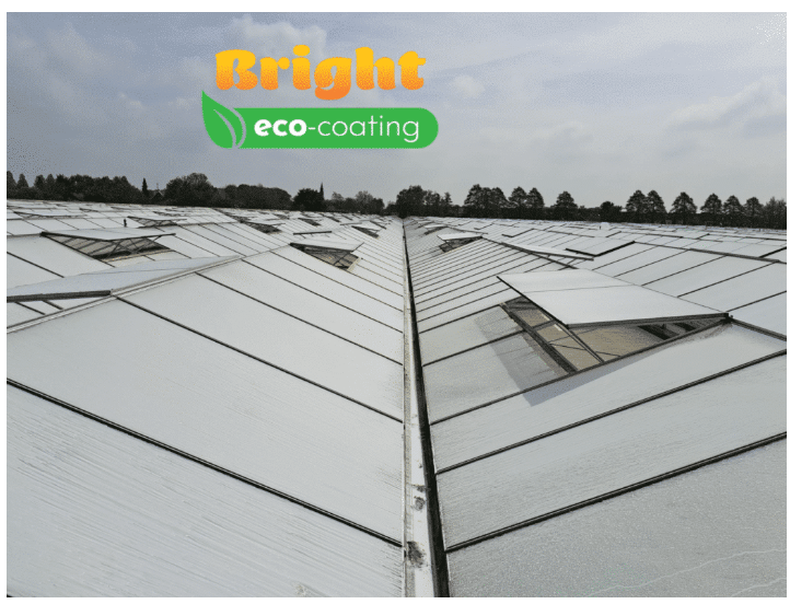 Aplicare Bright Eco