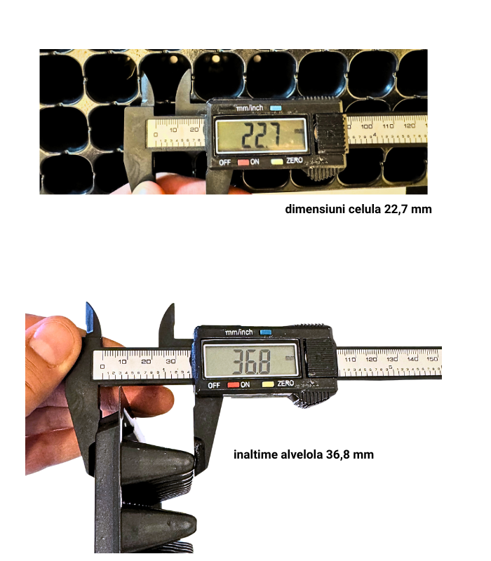 dimensiuni alveola 200