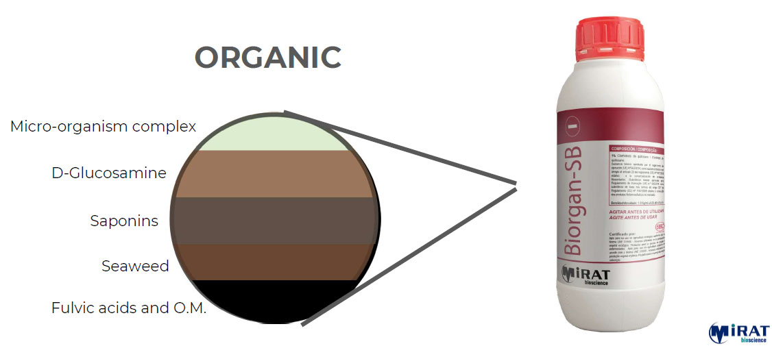Biorgan / PureSoil compozitie